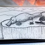 Platypus Ninja Takes a Breather